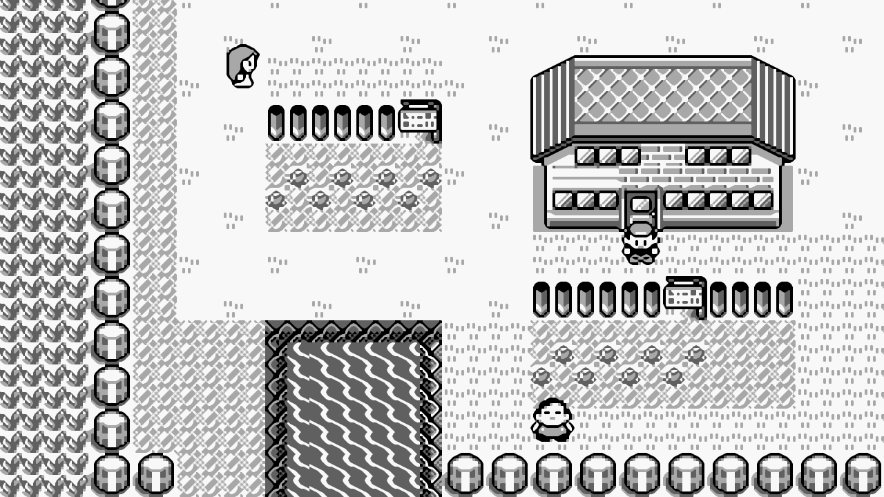 play pokemon red on pc